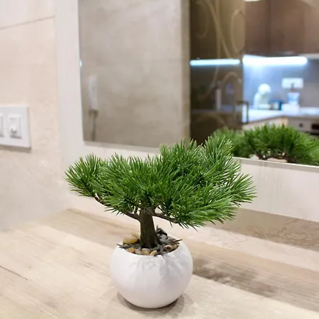 公寓 Cozy By The Sea 布尔加斯